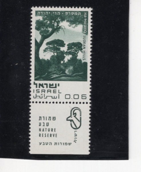 ISRAEL(�̽���)-TAB-#405-6a-CEDARS IN JUDEAN HILLS(���� ����� �ﳪ��)-1970.1.21��