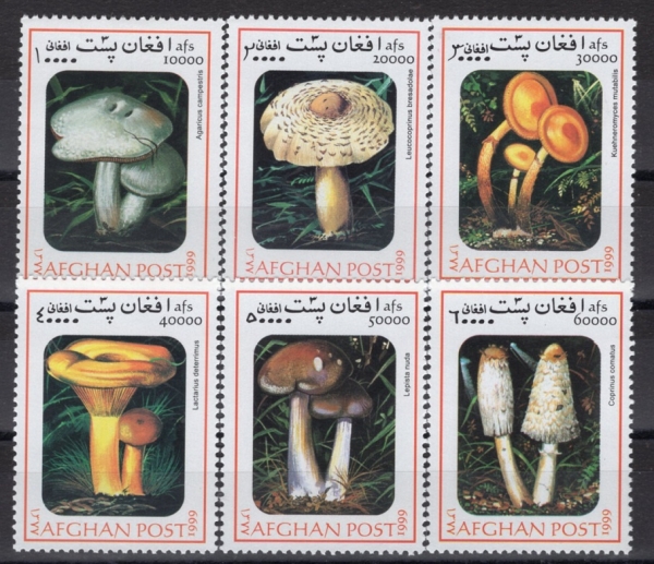 AFGHANISTAN(�������Ͻ�ź)-#NO(6��)-MUSHROOMS(����)-1999��