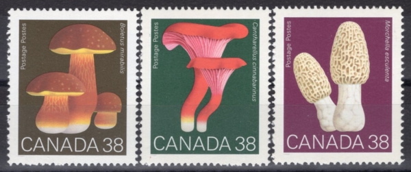 CANADA(ĳ����)-#1245~7(3��)-MUSHROOMS(����)-1989.8.4��