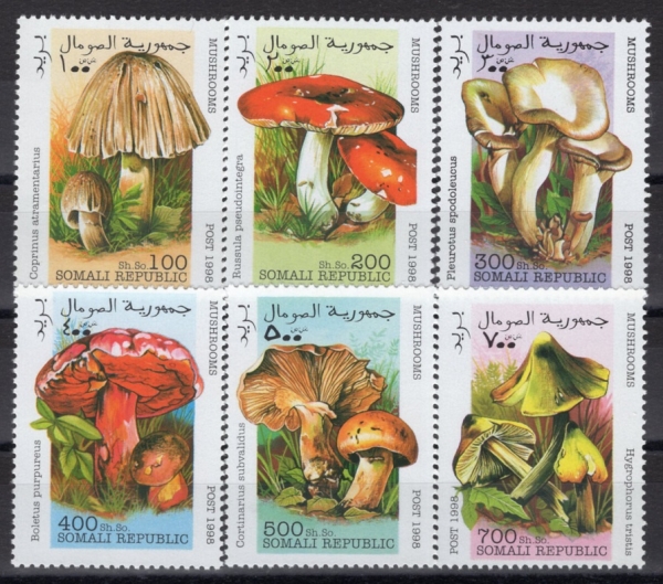 SOMALI(�Ҹ���)-#NO(6��)-MUSHROOMS(����)-1998��