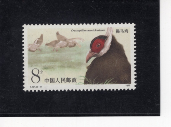 CHINA(�߱�)-#2196-8f-CHINA(�߱�)-#2182-8f-BROWN-EARED PHEASANT, CROSSOPTILON MANTCHURICUM(�����Ͳ�)-1989.2.21��
