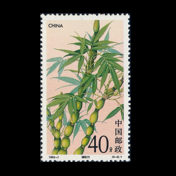 CHINA(�߱�)-#2446-40f-BAMBUSA VENTRICOSA(��λ� ��Ʈ���ڻ�)-1993.6.15��