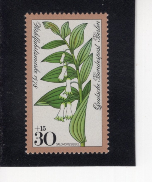 GERMAN OCCUPATION STAMPS(������)-#9NB148-30+15pf-SOLOMON\