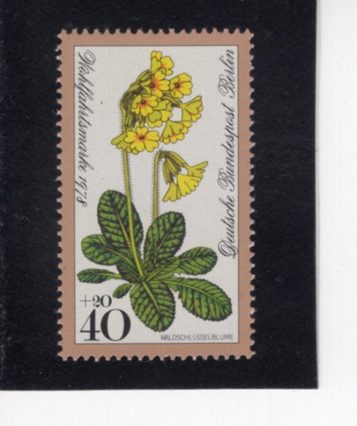 GERMAN OCCUPATION STAMPS(������)-#9NB14-40+20pf-WOOD PRIMROSE(�����Ķ� Ǯ������)-1978.10.12��
