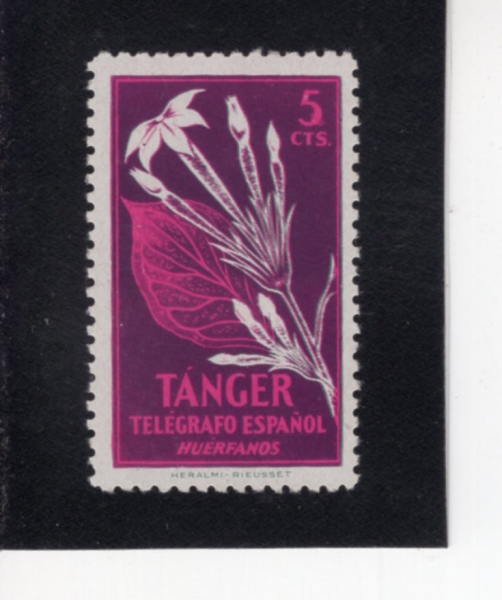 SPANISH TANGIER(�����η� ���츣)-#NO-5c-FLOWER(�Ĺ�)-1957��