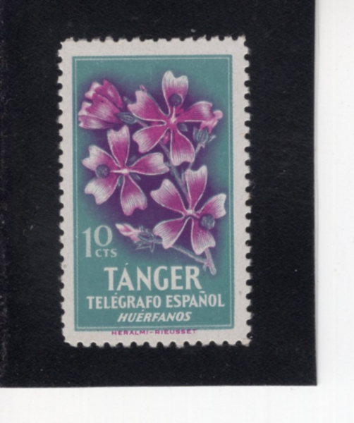 SPANISH TANGIER(�����η� ���츣)-#NO-10c-FLOWER(�Ĺ�)-1957��