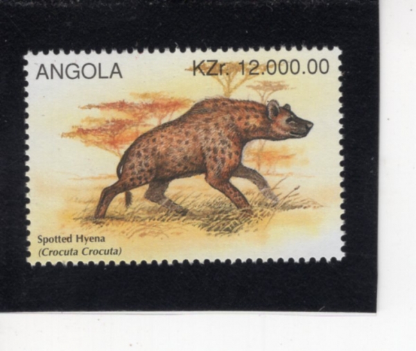 ANGOLA(�Ӱ��)-#954-12,000k-SPOTTED HYENA(������̿���)-1996.4.20��