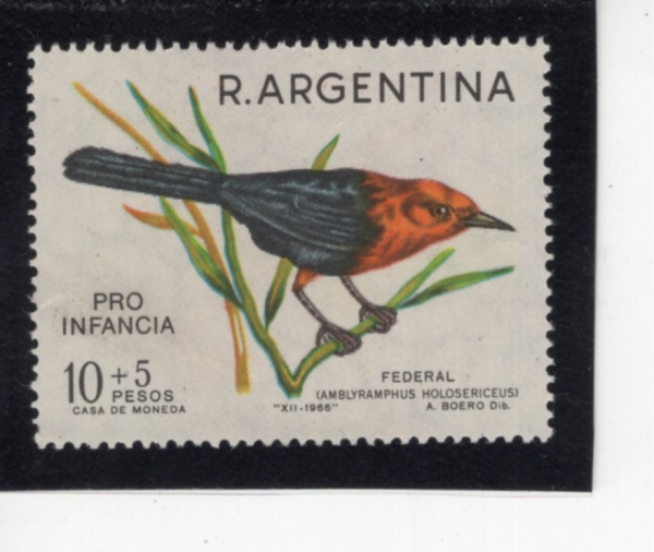 ARGENTINA(�Ƹ���Ƽ��)-#B49-10+5p-AMBLYRAMPHUS HOLOSERICEUS(��ȫ�Ӹ�����������)-1967.1.14��