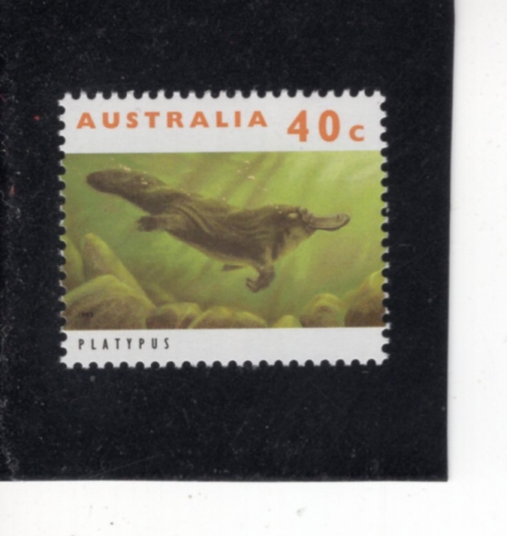 AUSTRALIA(����Ʈ���ϸ���)-#1273-40c-PLATYPUS(�����ʱ���)-1993.8.12��