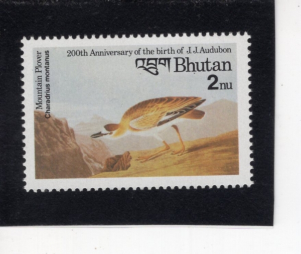 BHUTAN(��ź)-#508-2nu-CHARADRIUS MONTANUS(�굵���)-1985��