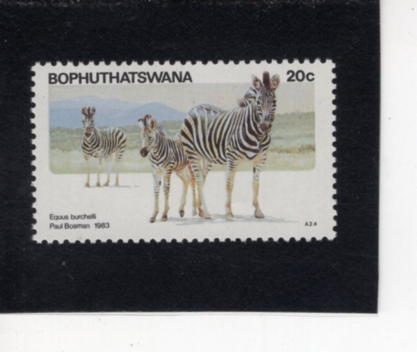 SOUTH AFRICA-BOPHUTHATSWANA(��ǪŸ���ͳ�)-#101-20c-EQUUS BURCHELLI(��� ��踻)-1983.1.5��
