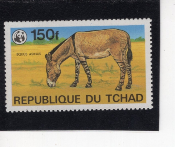 CHAD(����)-#371-150fr-WILD ASS(������ī �߻� �糪��)-1979.9.15��