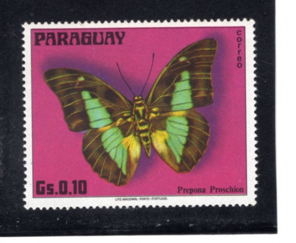PARAGUAY(����)-#1655b-10g-PREPONA PROSCHION(�������� �ʷ�)-1976.5.12��