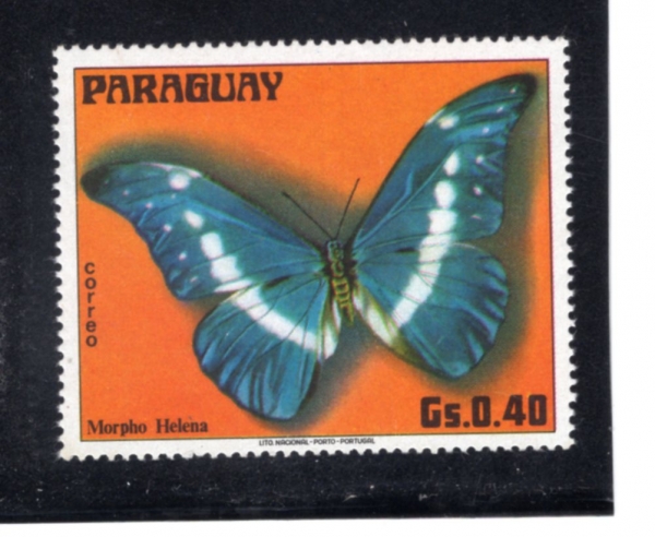 PARAGUAY(����)-#1655g-40g-MORPHO HELENA(���� �ﷹ��)-1976.5.12��