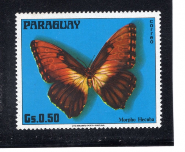 PARAGUAY(����)-#1655h-50g-MORPHO HECUBA(���� ������)-1976.5.12��