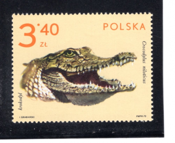 POLAND(������)-#1893-3.40z-CROCODILE(�Ǿ�)-1972.8.20��