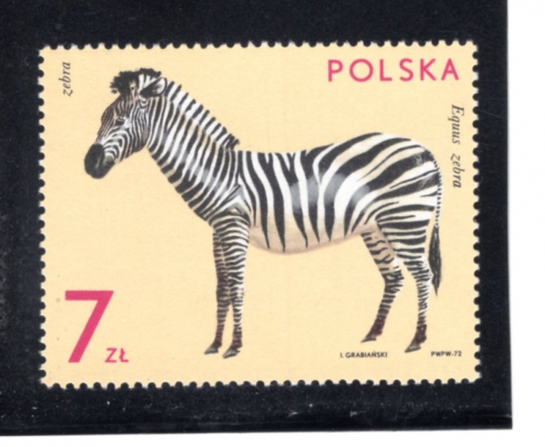 POLAND(������)-#1896-7z-ZEBRA(��踻)-1972.8.20��