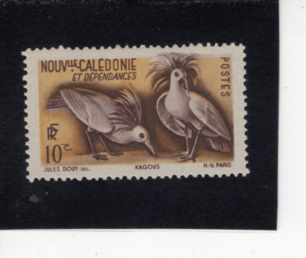 NEW CALEDONIA(��Į�����Ͼ�)-#276-10c-KAGUS(ī��)-1948��