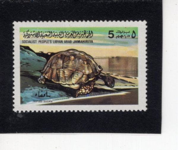 LIBYA(�����)-#797-5d-TORTOISE(�ź���)-1979.2.1��