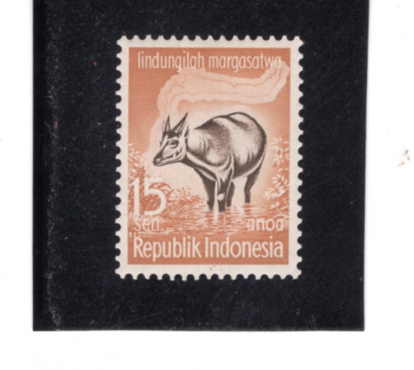 INDONESIA(�ε��׽þ�)-#474-15s-ANOA(�Ƴ��)-1959.6.1��