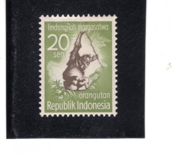 INDONESIA(�ε��׽þ�)-#475-20s-ORANGUTAN(������ź)-1959.6.1��