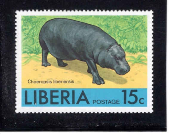 LIBERIA(���̺�����)-#766-15c-PIGMY HIPPOPOTAMUS(������ �ϸ�)-1976.9.1��