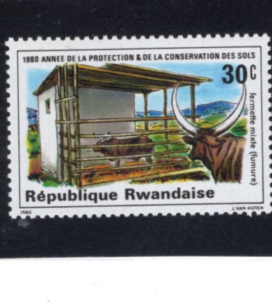 RWANDA(���ϴ�)-#1002-30c-FERTILIZER SHED(��� â��, ��)-1980.12.31��