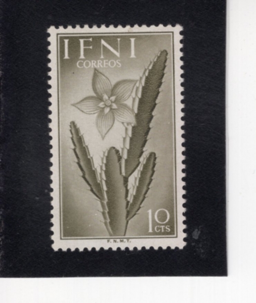 IFNI(������)-#62-10c-CACTUS(������)-1954.4.22��