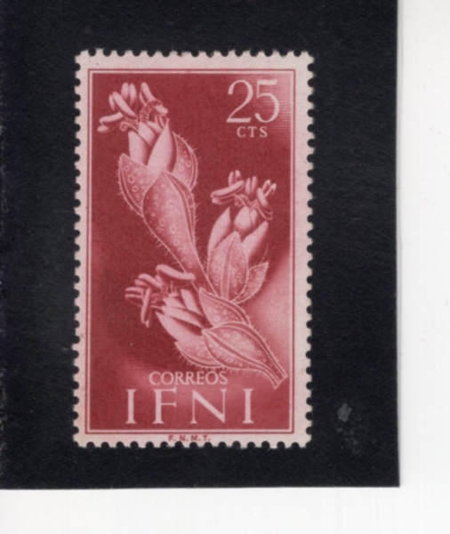 IFNI(������)-#63-25c-CACTUS(������)-1954.4.22��