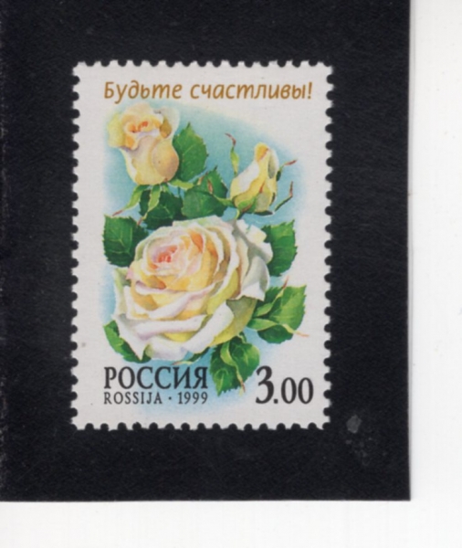 RUSSIA(���þ�)-#6527-3r-CONIFIDENCE ROSE(������ ���)-1999.6.10��