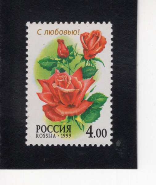 RUSSIA(���þ�)-#6528-4r-AVE MARIA ROSE(�ƺ� ������ ���)-1999.6.10��
