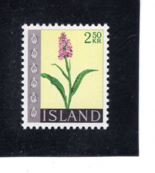 ICELAND(���̽�����)-#394-2.50k-ORCHIS MACULATA(��ƿ�θ��� ��ŧ��Ÿ)-1968.1.17��
