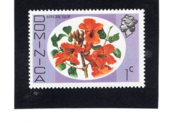 DOMINICA(���̴�ī)-#455-1c-AFRICAN TULIP(������ī ƫ�� ����)-1975.12.8��