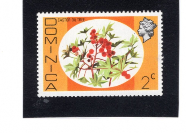 DOMINICA(���̴�ī)-#456-2c-CASTOR OIL TREE(���ô���)-1975.12.8��