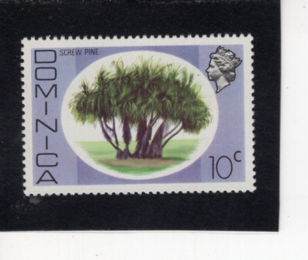 DOMINICA(���̴�ī)-#462-10c-SCREW PINE(�Ǵٴ���)-1975.12.8��
