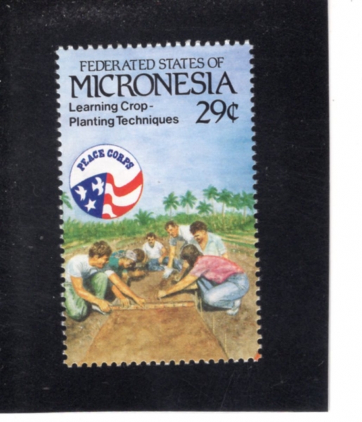 MICRONESIA(��ũ�γ׽þ�)-#150a-29c-LEARNING CROP PLANTING TECHNIQUES(�۹� �ɱ� ��� ����)-1992.4.10��