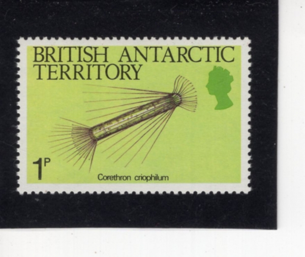 BRITISH ANTARCTIC TERRITORY(���� ���� ����)-#102-1p-CORETHRON CRIOPHILUM(�ڷ�Ʈ�� ũ�����ʷ�)-1984.3.15��