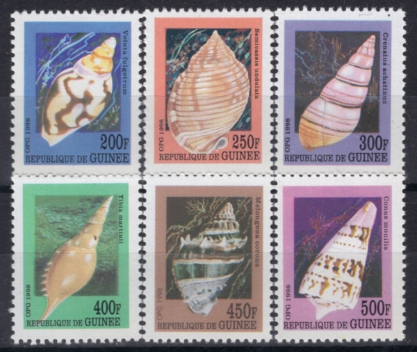 GUINEA(���)-#NO(6��)-SHELL(����)-1998��