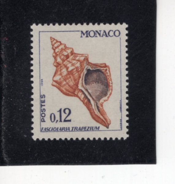 MONACO(����)-#583-12c-FASCLOLARIA TRAPEZIUM(�÷����÷�ī Ʈ��������)-1964.5.19��