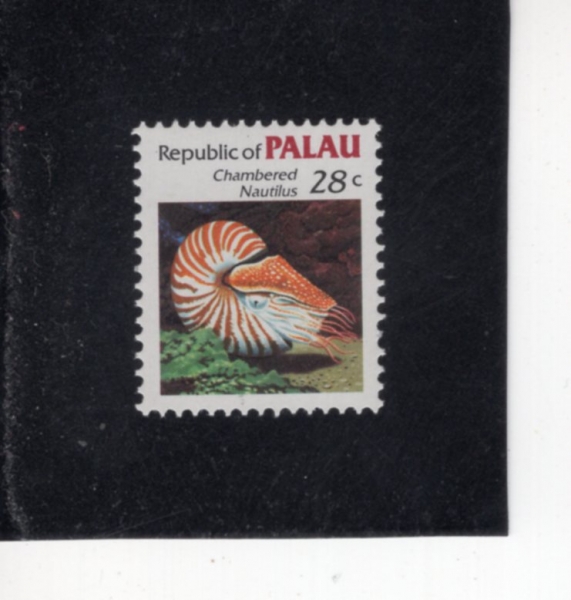 PALAU(�ȶ��)-#15-28c-CHAMBERED NAUTILUS(è���� ��ƿ����)-1983��