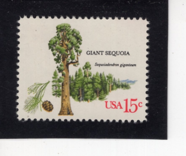 UNITED STATES(�̱�)-#1764-15c-GIANT SEQUIA(�Ŵ� �����̾�)-1978.10.9��