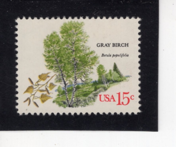 UNITED STATES(�̱�)-#1767-15c-GRAY BIRCH(ȸ�� ���۳���)-1978.10.9��