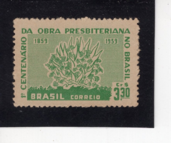 BRAZIL(�����)-#902-3.30cr-BURNING BUSH(��Ÿ�� ���⳪��)-1959.12.24��