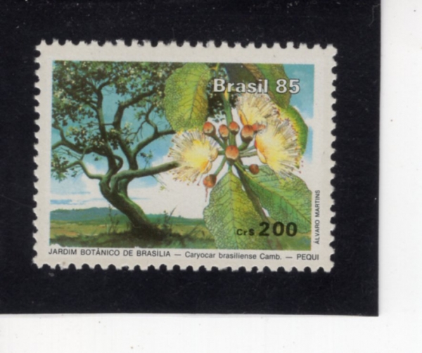 BRAZIL(�����)-#1973-200cr-BRASILIA BOTANICAL GARDENS(��������� �Ĺ���)-1985.3.8��