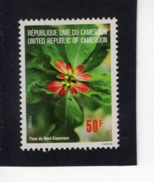 CAMEROUN(ī�޷�)-#619-50fr-FLOWER OF NORTH CAMEROUN(��ī�޷��� ��)-1976.7.20��