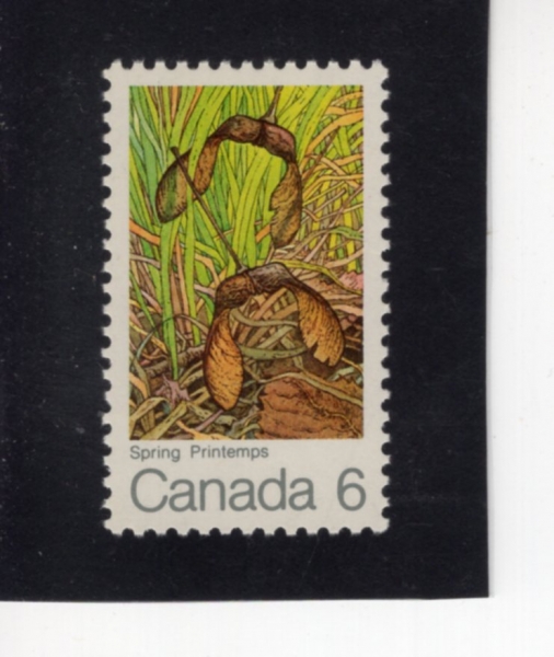 CANADA(ĳ����)-#535-6c-SPRING, WINGED MAPLE SEED(��, ��ǳ �︮���� ����)-1971.7.14��