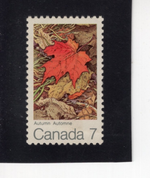 CANADA(ĳ����)-#537-7c-AUTUMN, WINGED MAPLE SEED(����, ��ǳ ����)-1971.9.3��