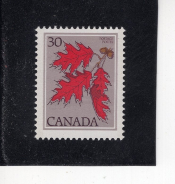 CANADA(ĳ����)-#720-30c-RED OAK(�Ϻ� ��������)-1978��