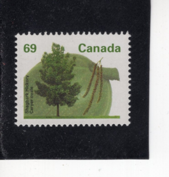 CANADA(ĳ����)-#1369-69c-SHAGBARK HICKORY(���׹�ũ ���ڸ�)-1994.2.25��
