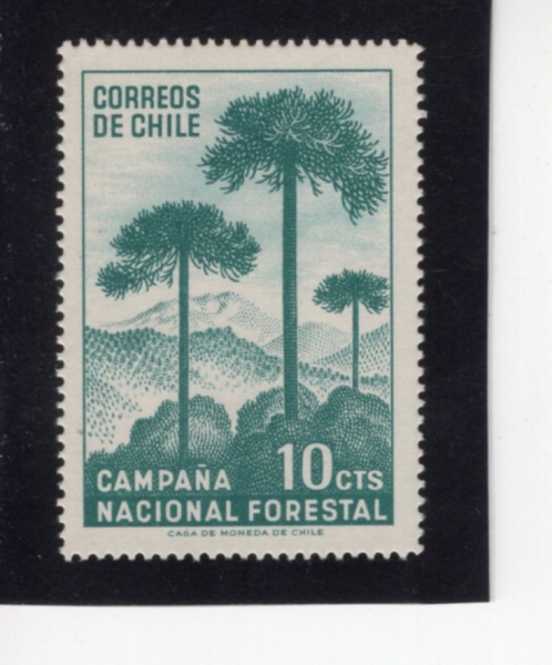 CHILE(ĥ��)-#363-10c-TREES AND MOUNTAINS(����, ��)-1967.6.9��